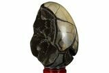 Septarian Dragon Egg Geode - Black Crystals #177420-4